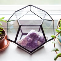 Image 2 of Small Dodecahedron Terrarium