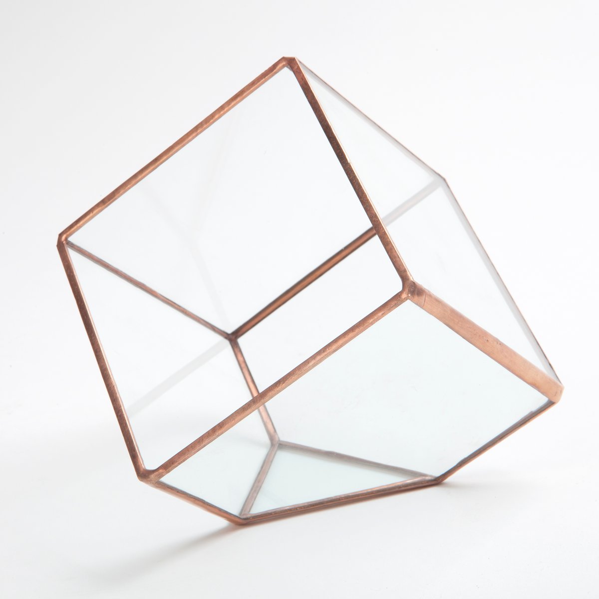 Image of Small Cube Terrarium