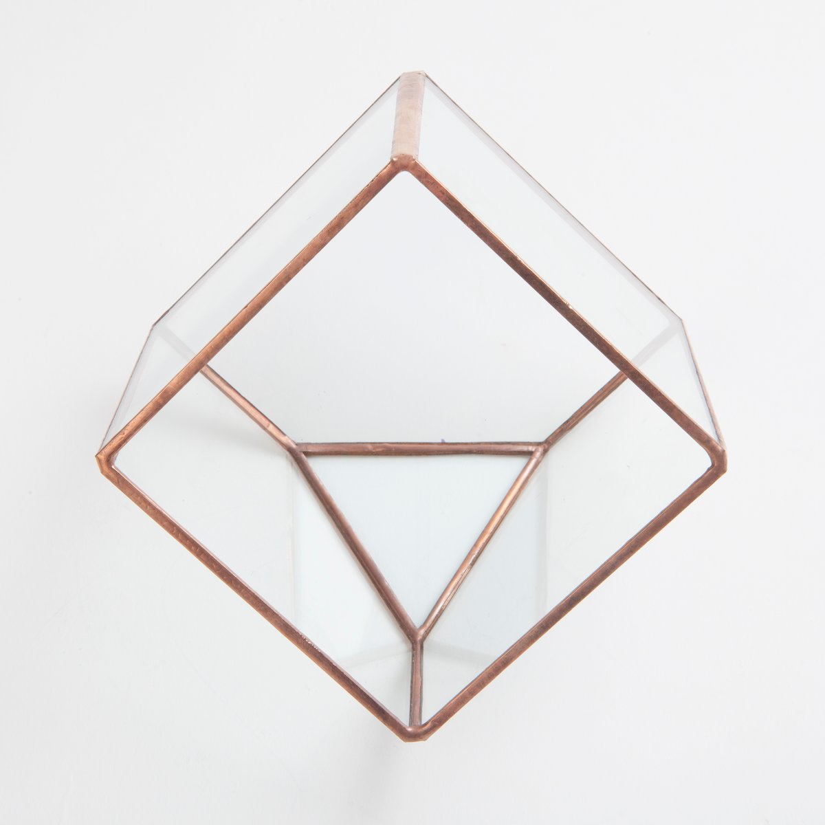 Image of Small Cube Terrarium