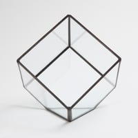 Image 4 of Small Cube Terrarium