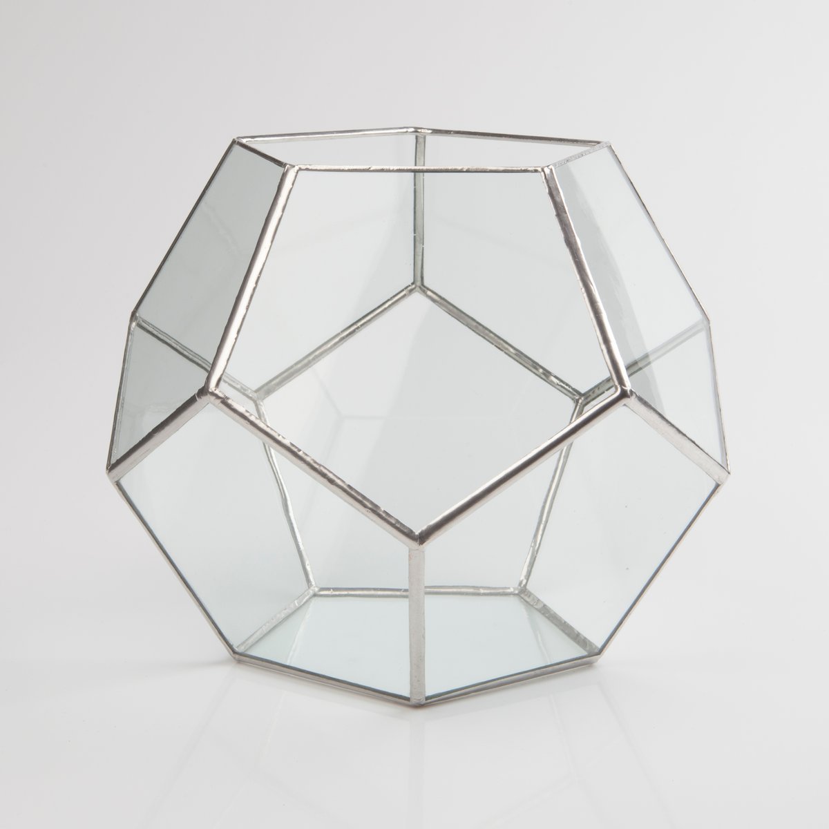 Image of Large Dodecahedron Terrarium