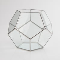 Image 3 of Large Dodecahedron Terrarium