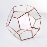 Image 1 of Large Dodecahedron Terrarium