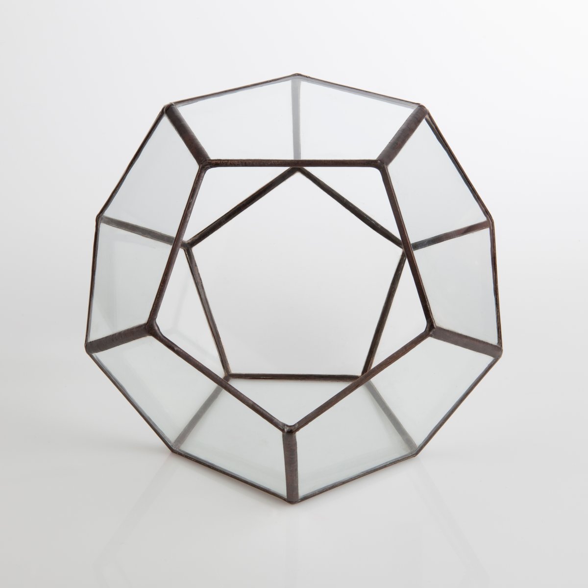 Image of Large Dodecahedron Terrarium