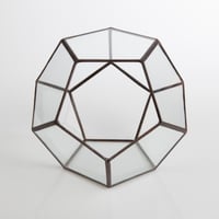 Image 4 of Large Dodecahedron Terrarium