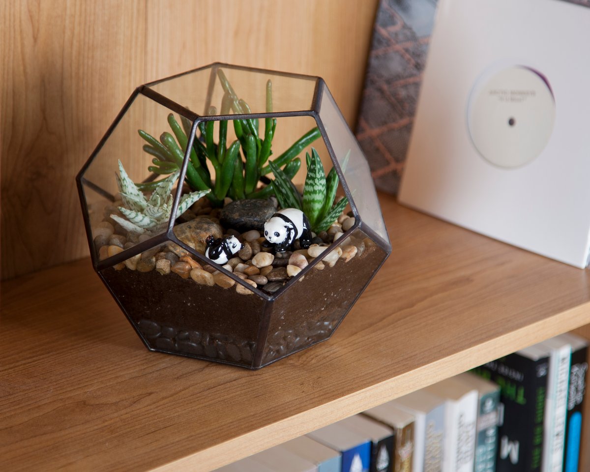 Image of Large Dodecahedron Terrarium