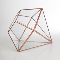 Image 1 of Large Diamond Terrarium