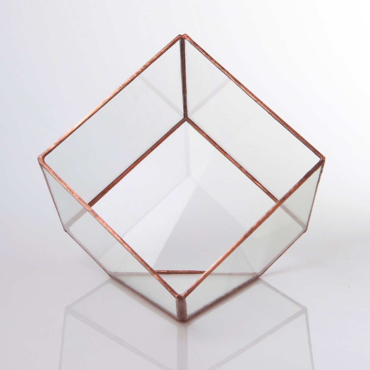 Image of Large Cube Terrarium