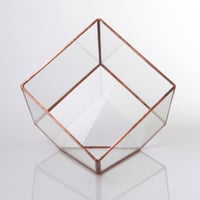 Image 4 of Large Cube Terrarium