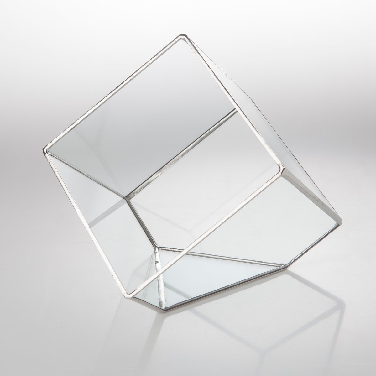 Image of Large Cube Terrarium