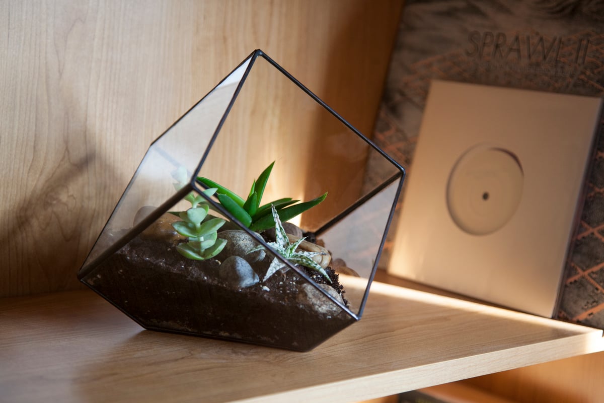 Image of Large Cube Terrarium