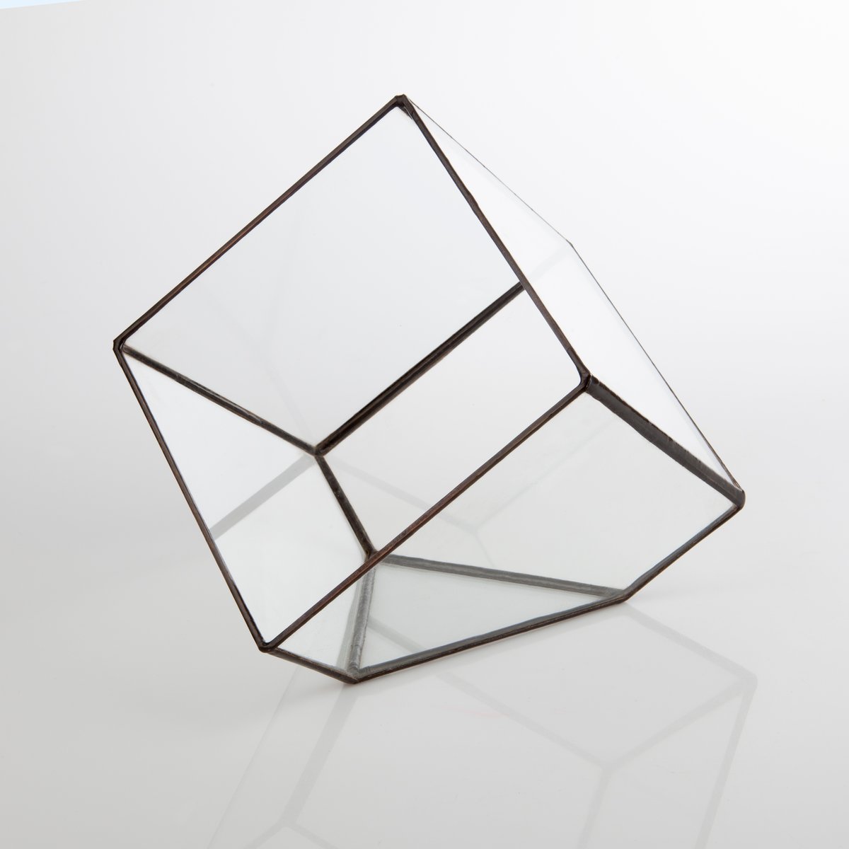 Image of Large Cube Terrarium