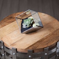 Image 2 of Small Cube Terrarium