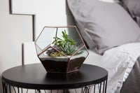 Image 2 of Large Dodecahedron Terrarium