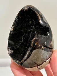 Image 7 of Septarian Nodule Polished Freeform | Madagascar #2900