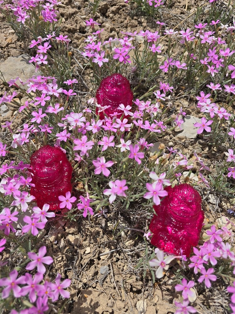 Image of Critter Depression Pink