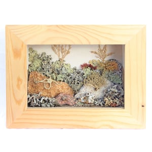 Image of Sea Life Wall-Hanging