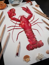 Image 5 of Ruby Lobster Recycled Paper Fine Art Print 