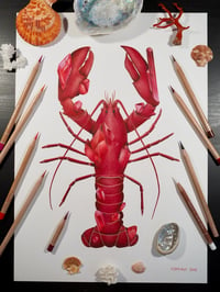 Image 1 of Ruby Lobster Recycled Paper Fine Art Print 