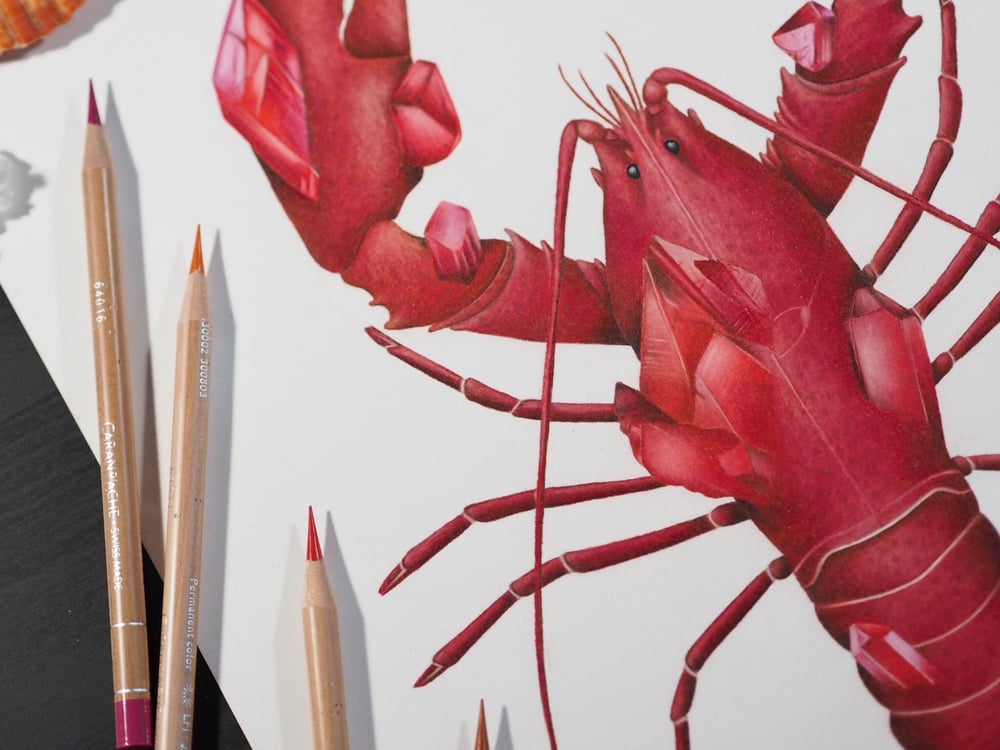 Ruby Lobster Recycled Paper Fine Art Print 