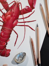 Image 4 of Ruby Lobster Recycled Paper Fine Art Print 