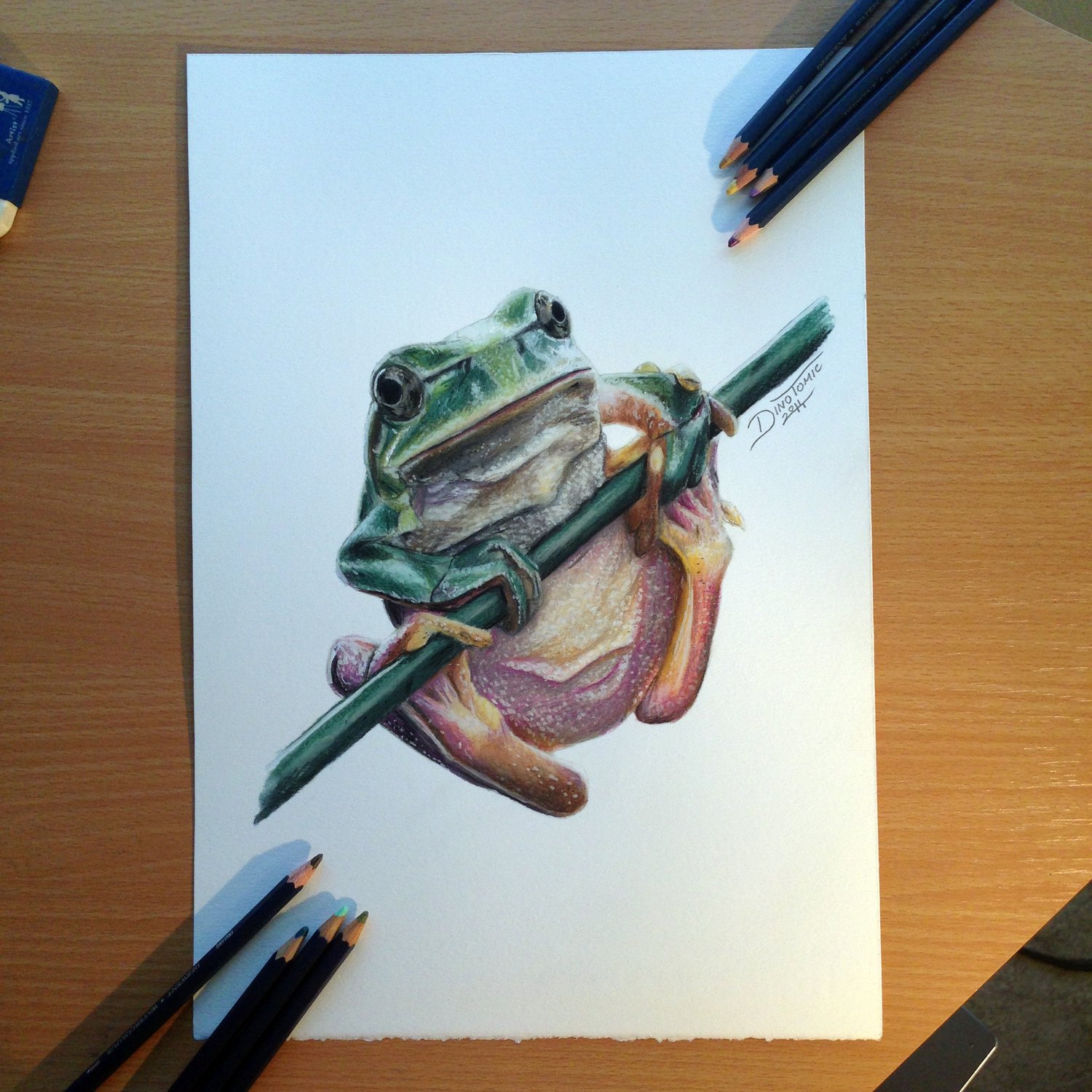 Image of #40 Frog