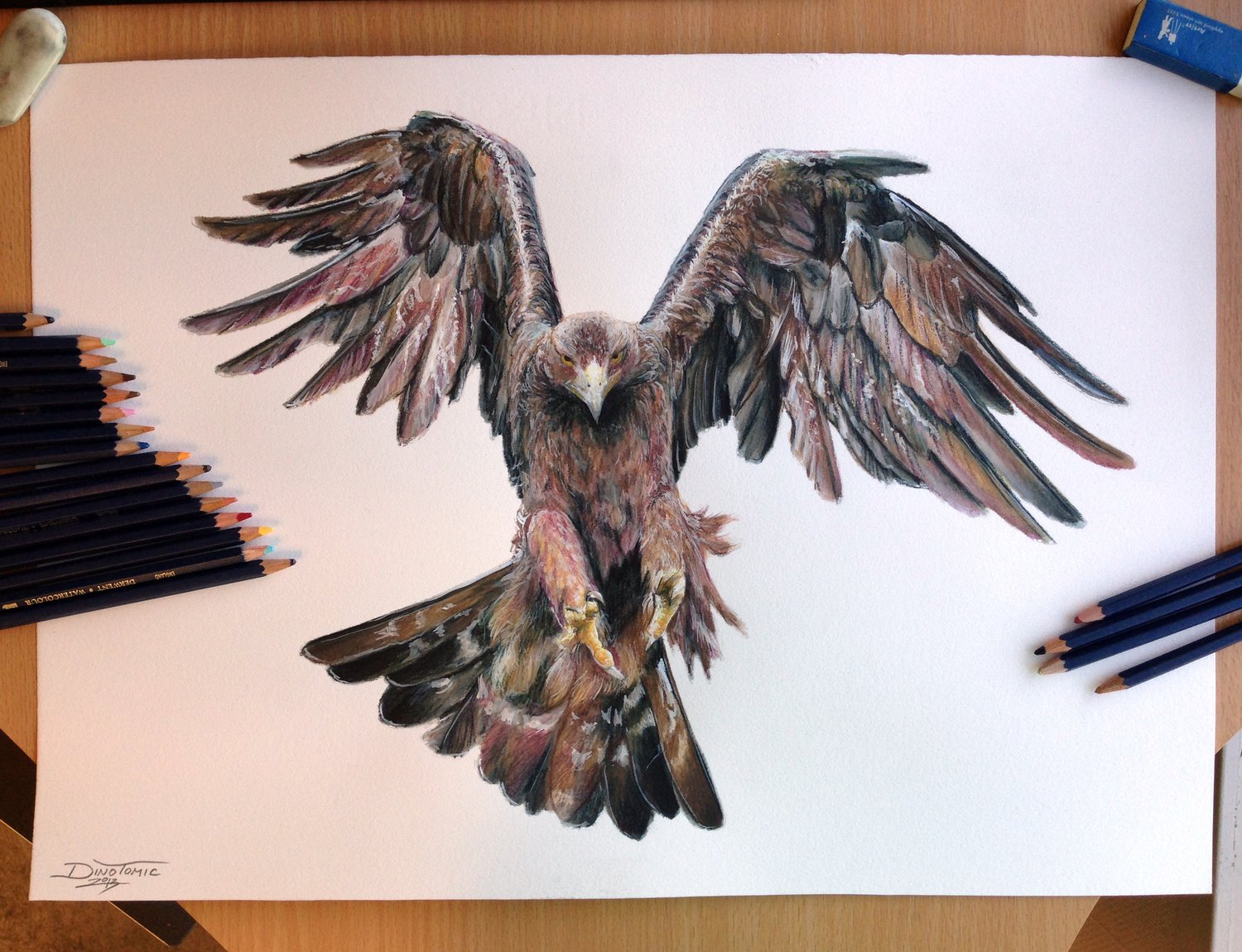 Image of #65 Golden Eagel