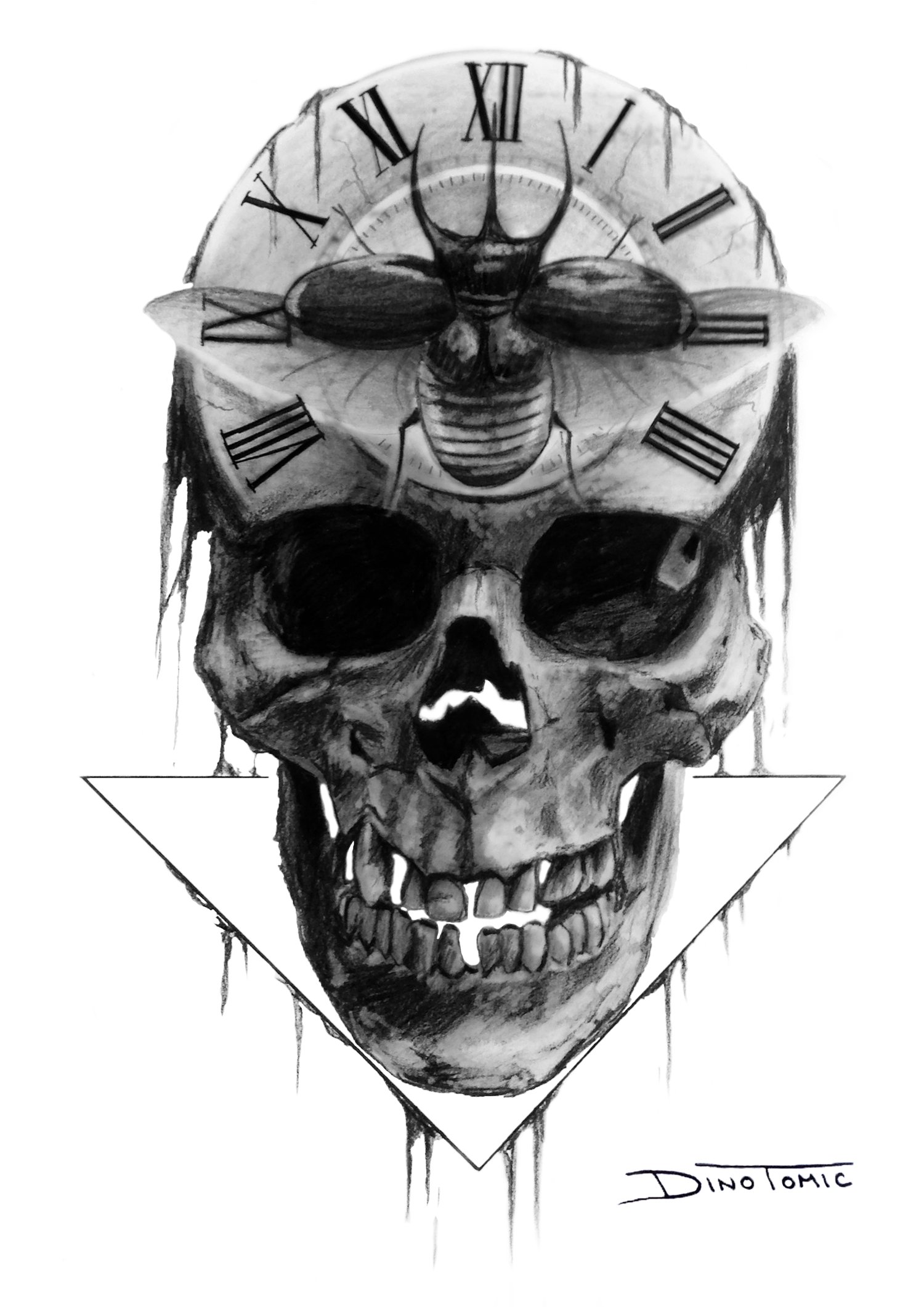 Image of #55 Skull