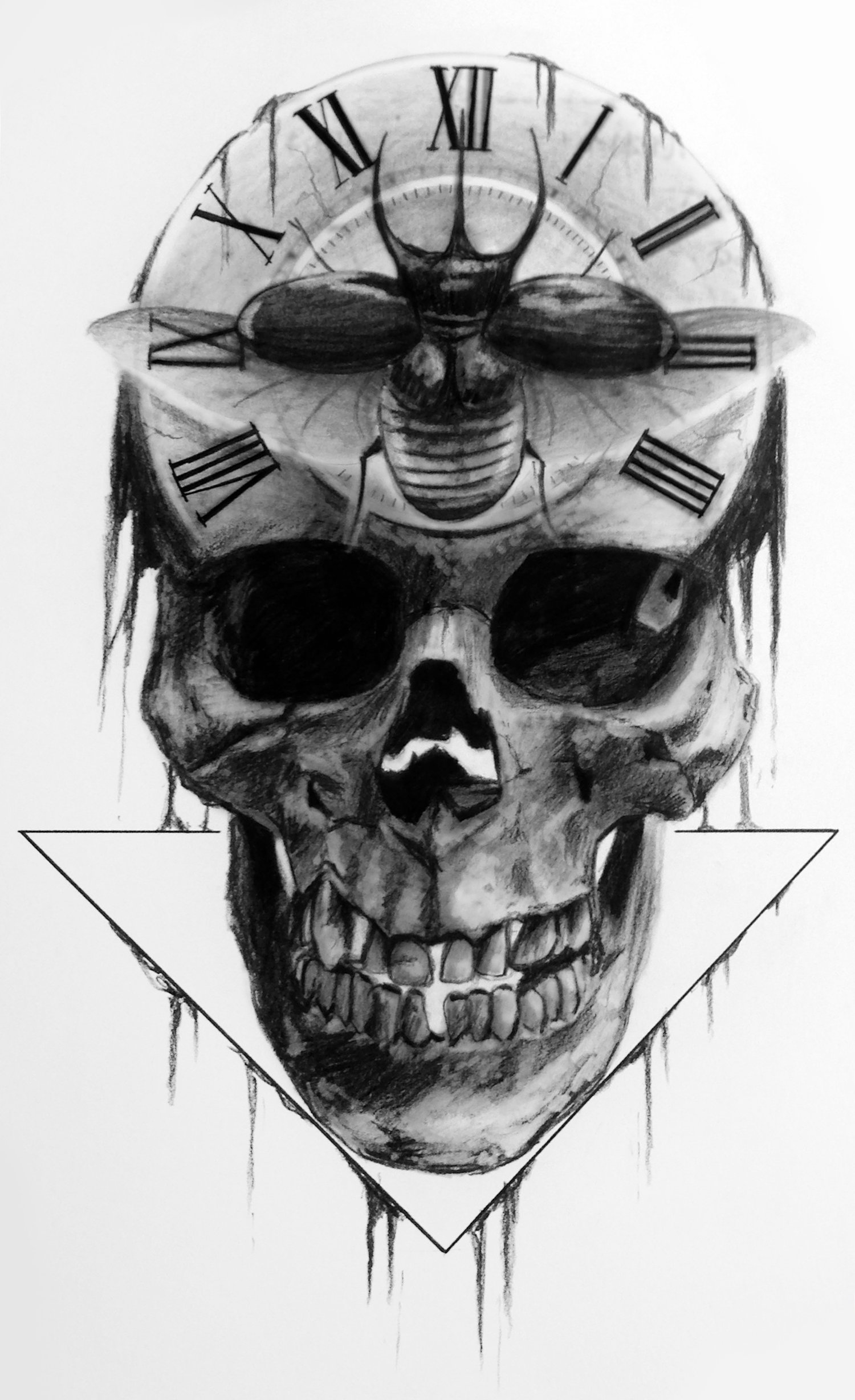 Image of #55 Skull
