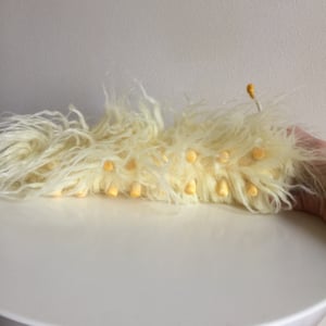 Image of Limone the Fluffy Caterpillar