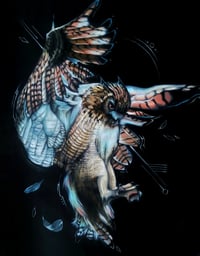 Indian Eagle Owl Print 