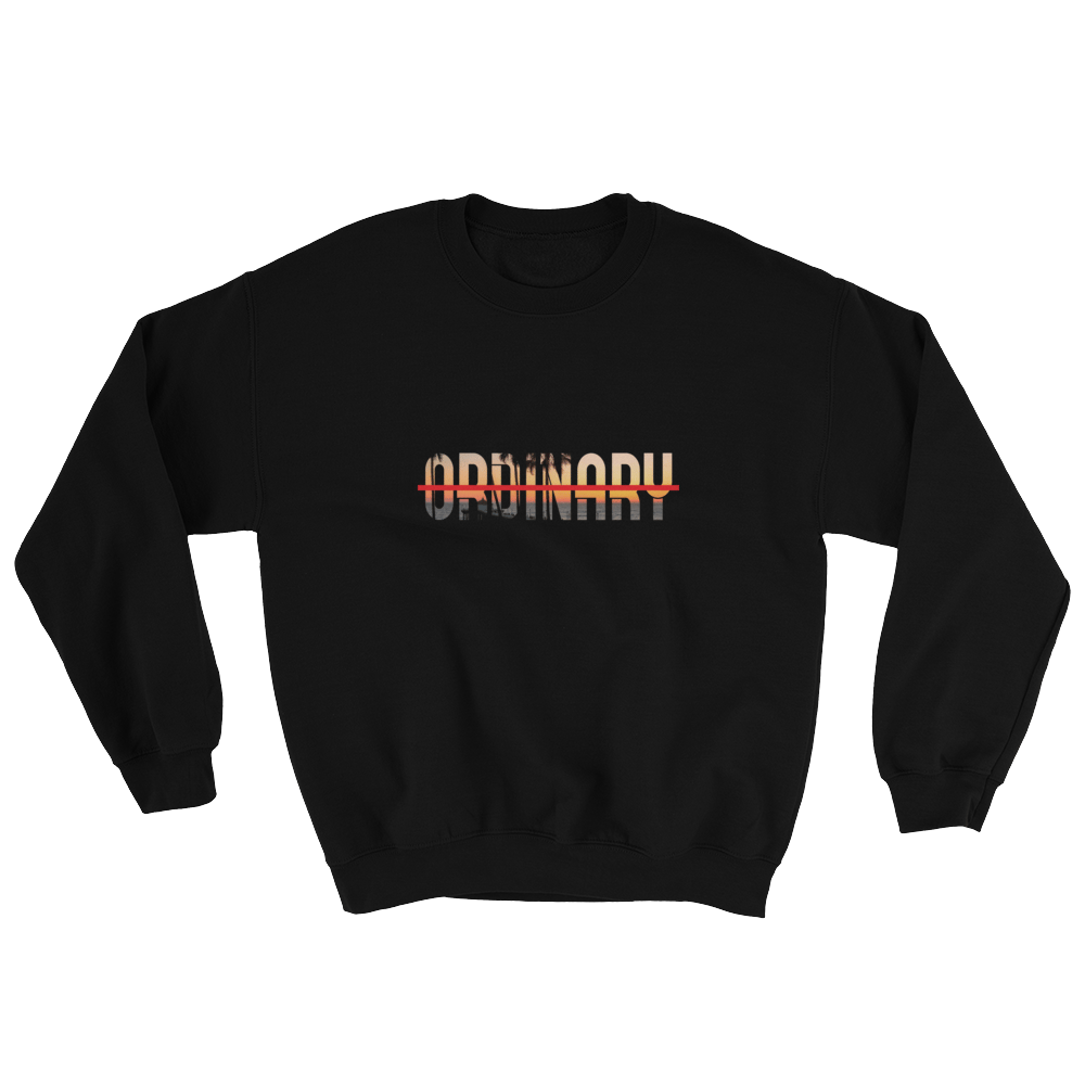 Image of Ordinary Beach longsleeve