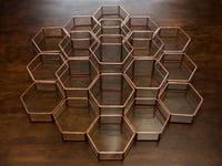 Image 5 of Modular Hexagon Terrariums