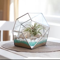 Image 2 of Large Diamond Terrarium