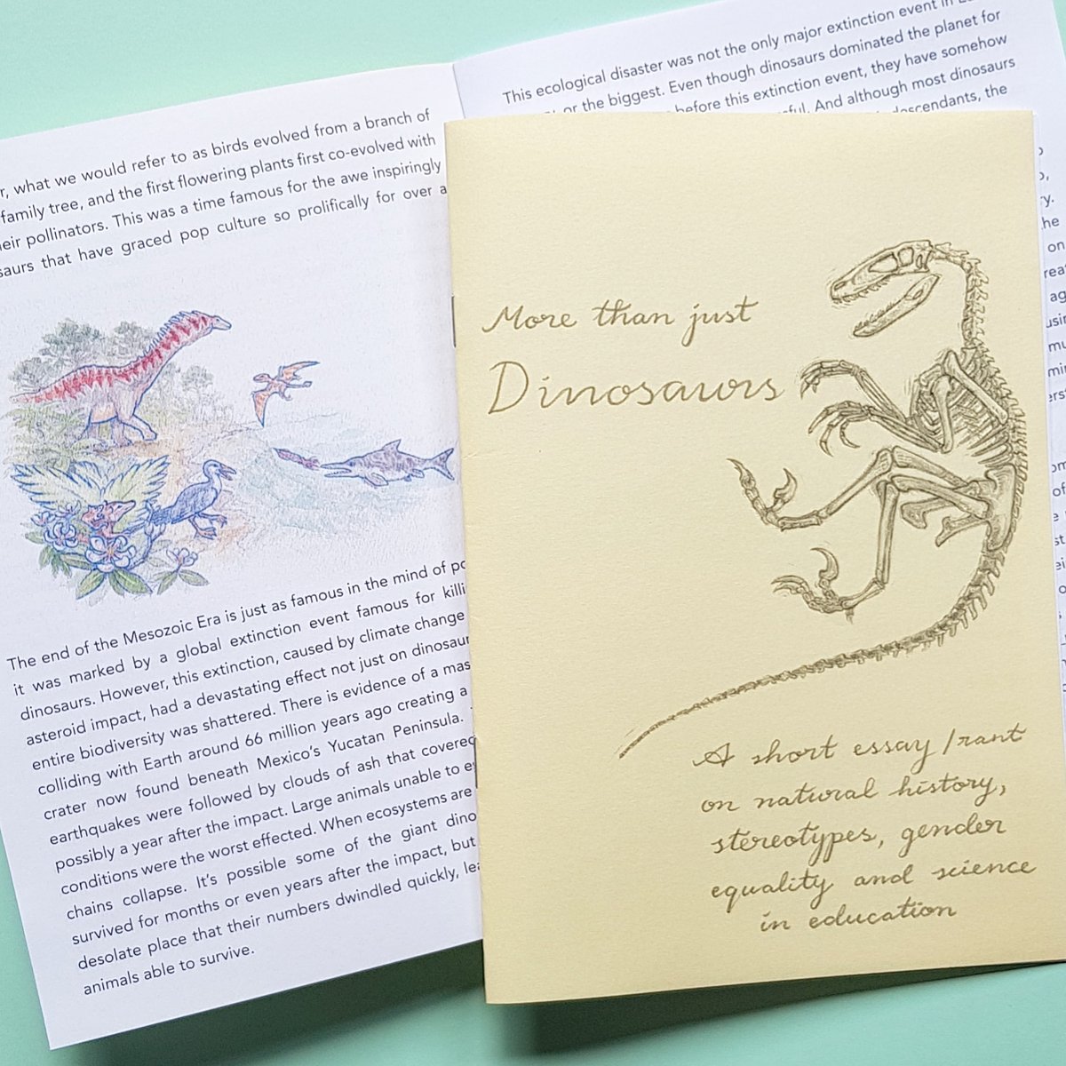 Image of Dinosaur essay zine