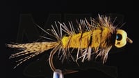 Image of CK Nymph