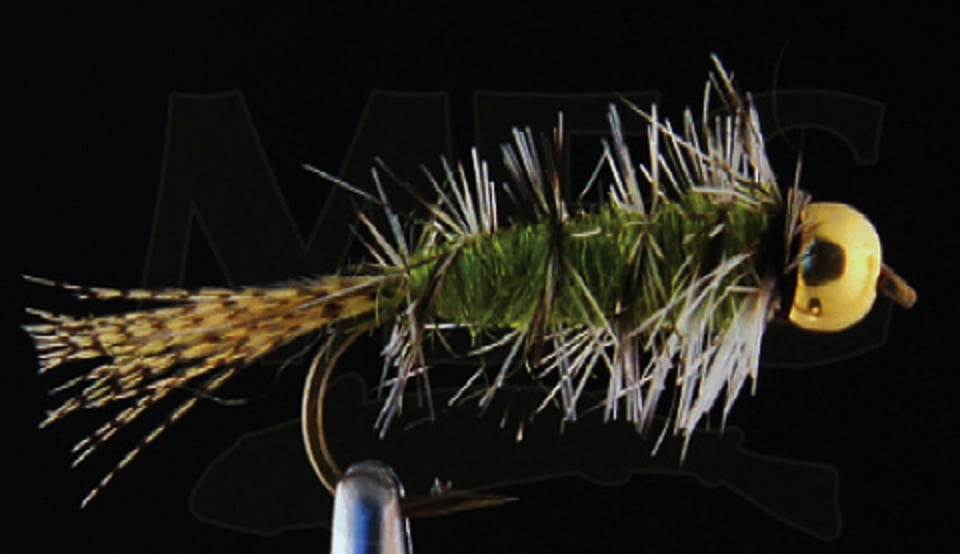 Eastern Trophies Fly Fishing — CK Nymph