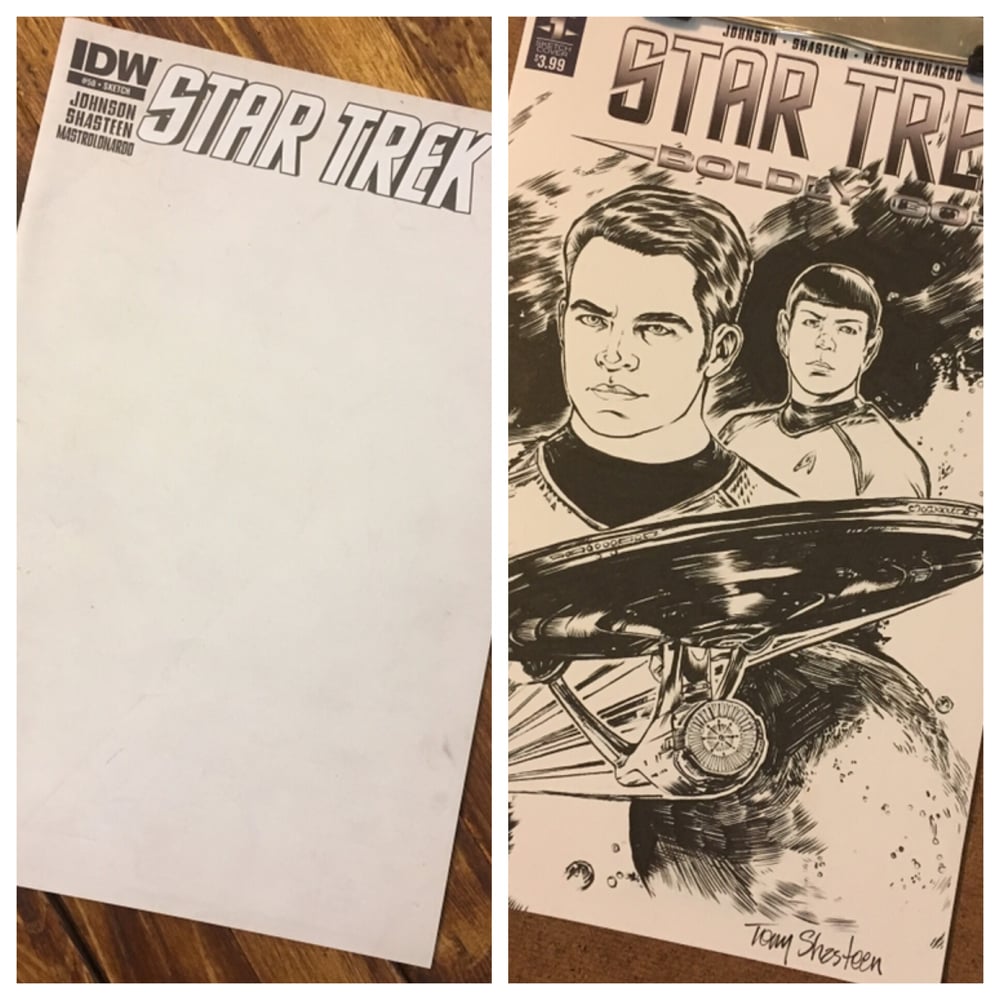 Image of Star Trek blank cover commission