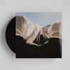 'ALARM WILL SOUND' [vinyl]