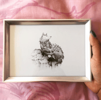 Image 2 of Fox