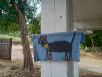 Image 2 of Cowboy Dog