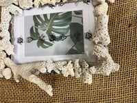 Image 8 of Coral Frame 5” x 7”
