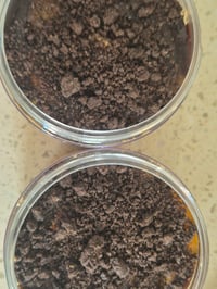 Loaded Chocolate Boujee Overnight Protein Tubs