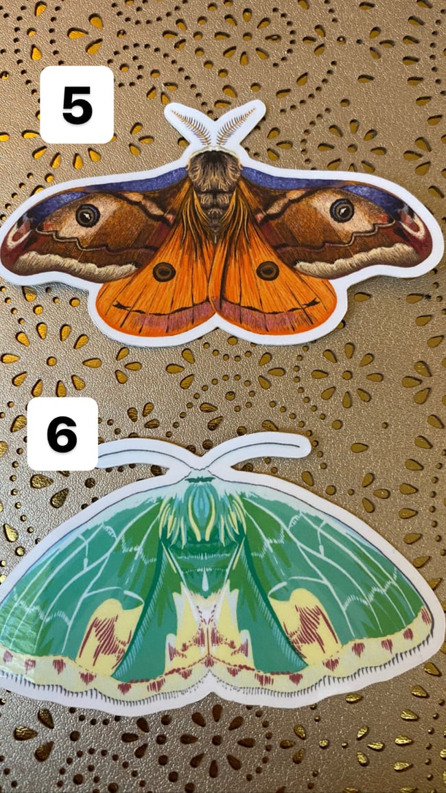 Moth Stickers - Three Pack