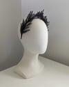 ALPINIA : BLACK