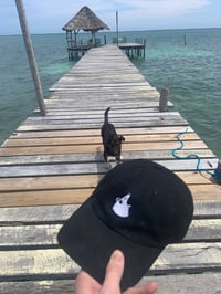 Image 5 of POH DAD HAT