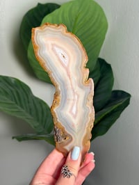 Image 1 of RAINBOW AGATE SLAB -MADAGADSCAR- 