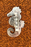 Seahorse