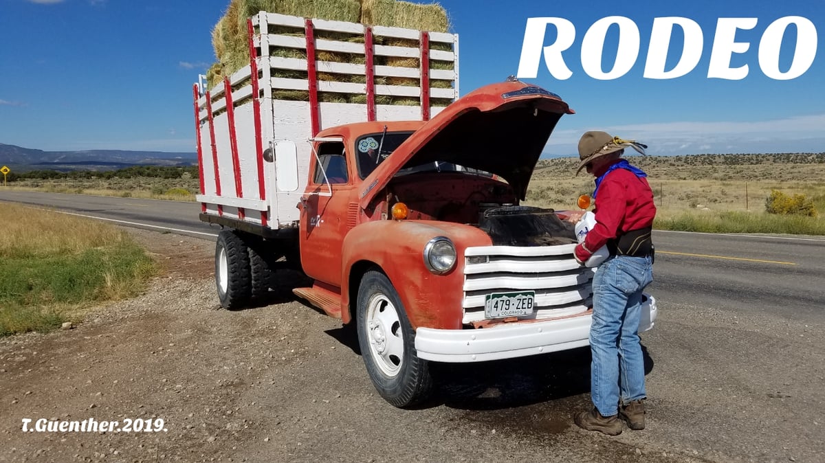 Image of (SOLD OUT) RODEO