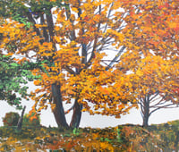 Image 1 of - Colour Me Orange -